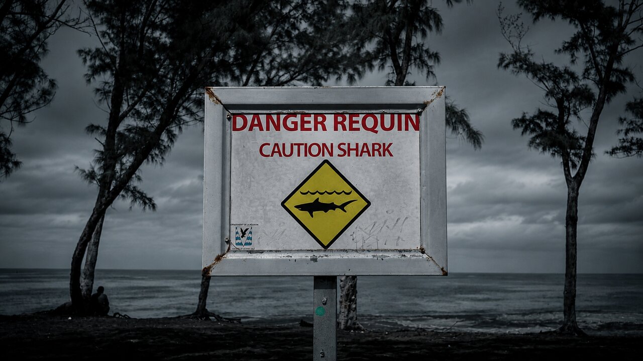 Plage avec dispositifs de sécurité requin